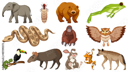 Set of different wild animals cartoon characters