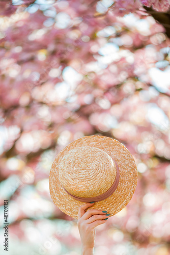 Woman's hand holds a straw hat against the background of pink flowering trees. Sakura. Spring background.