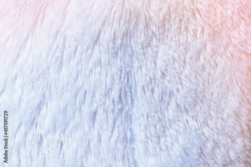 white fur texture close-up abstract background