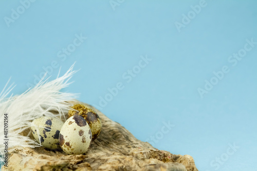 Easter eggs on a wooden board with white pore and copy space. Easter card, eggs on a blue background.Spring and holiday concept.