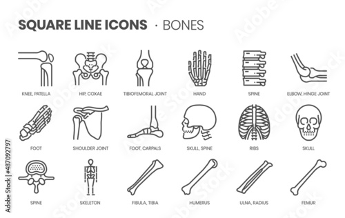 Bones related, pixel perfect, editable stroke, up scalable square line vector icon set.