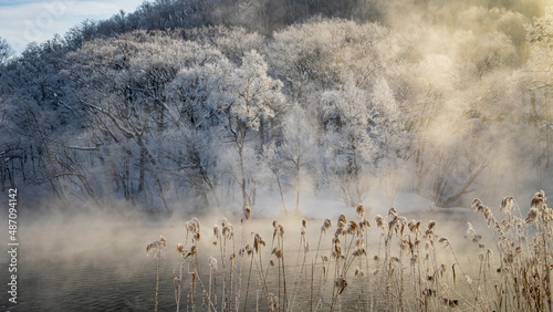 冬の絶景 富良野 鳥沼公園 霧氷と気嵐