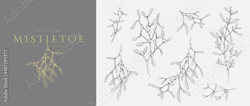 Mistletoe Floral logo and branch set. Hand drawn line winter plant, herb with elegant leaves for christmas invitation, save the date card photo