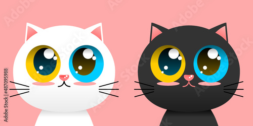 Cute lovely black and white cat yellow with blue eye with on pink background cartoon character vector design.