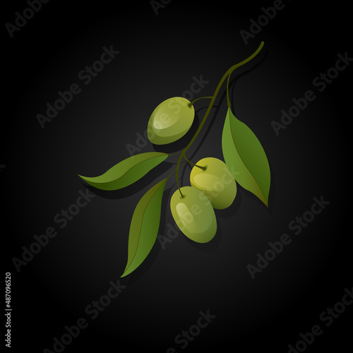 Green olives label or logo. Olive branch with leaves and olives. Vector illustration isolated on black background.
