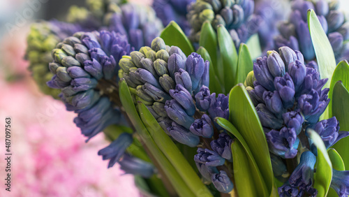 close up of flowers