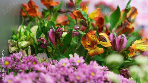 flowers in the garden