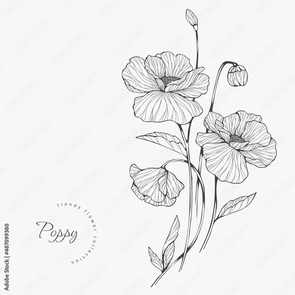 Trendy wedding flowers for logo or decorations. Hand drawn line wedding decoraton, elegant leaves for invitation save the date card. Botanical rustic trendy greenery