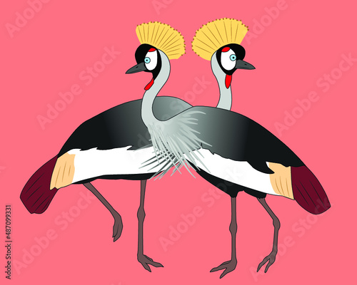 Two dstanding grey crowned cranes, vector illustration