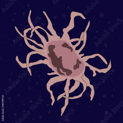 Vector illustration of single-celled eukaryote Acritarcha, Protozoa photo
