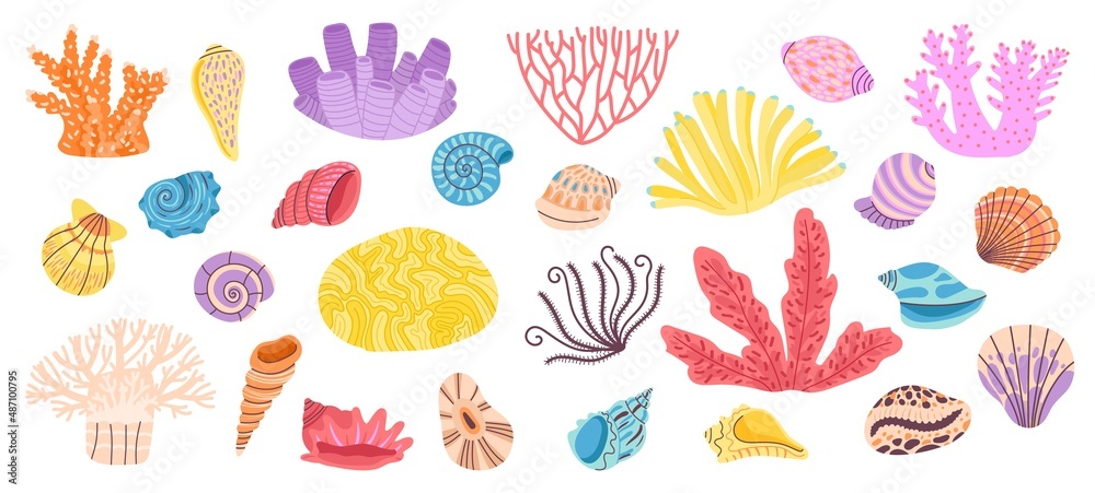 Corals. Sea coral, weeds and seashell. Ocean reef doodle elements. Shells decoration, underwater or aquarium objects. Marine decent vector objects