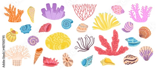 Corals. Sea coral, weeds and seashell. Ocean reef doodle elements. Shells decoration, underwater or aquarium objects. Marine decent vector objects