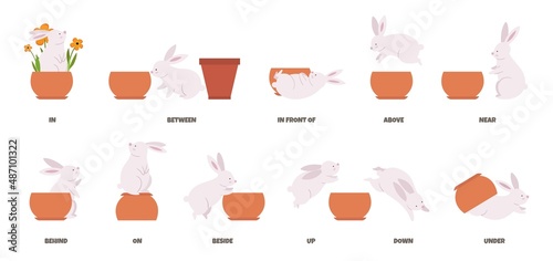 Basic english prepositions poster. Study language with cute cartoon rabbit and flower pot. Bunny character in different poses, isolated education vector banner