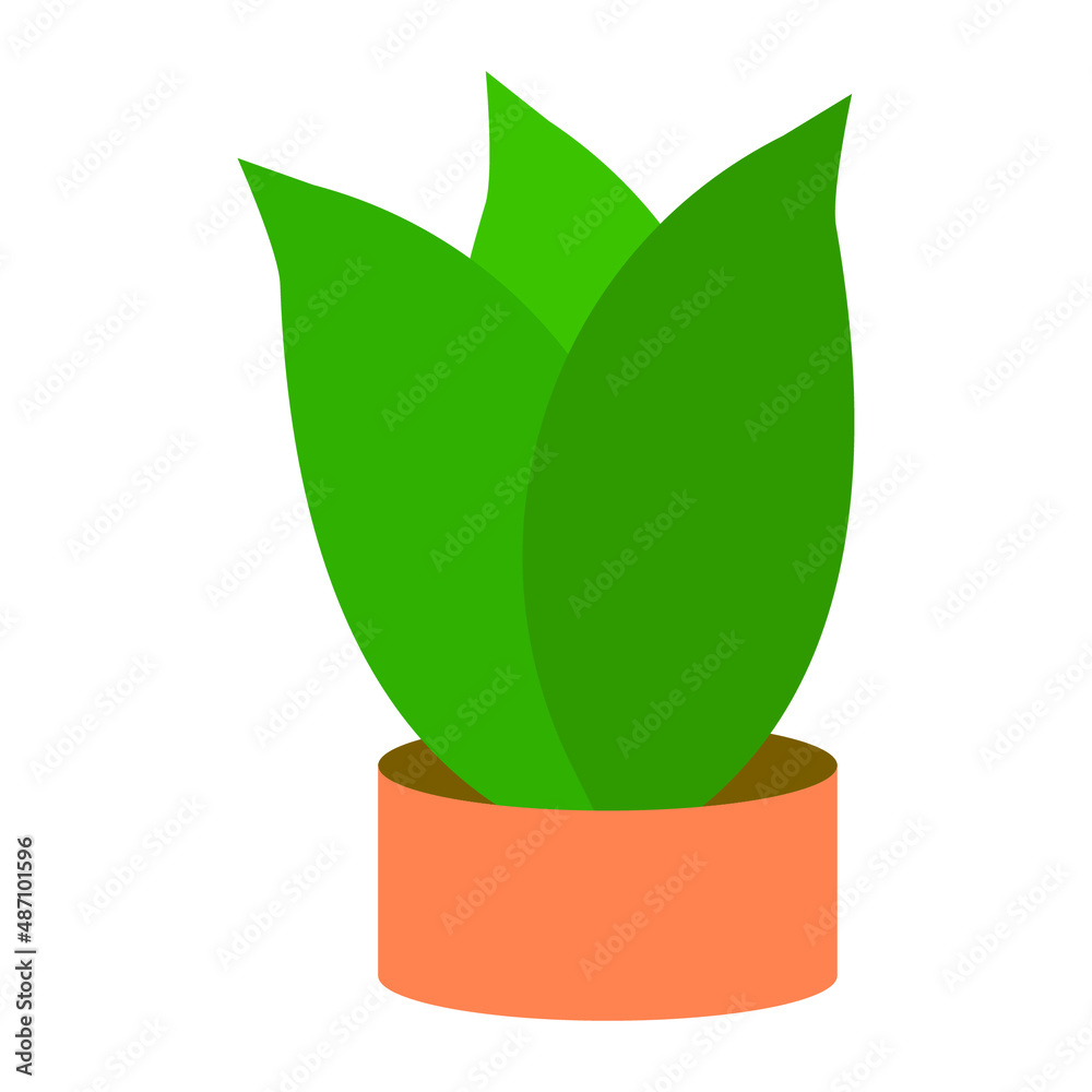 vector design flower in pot, cauliflower, green flower, fresh flower, flower in pot vector design flower in pot, cauliflower, green flower, fresh flower, flower in pot