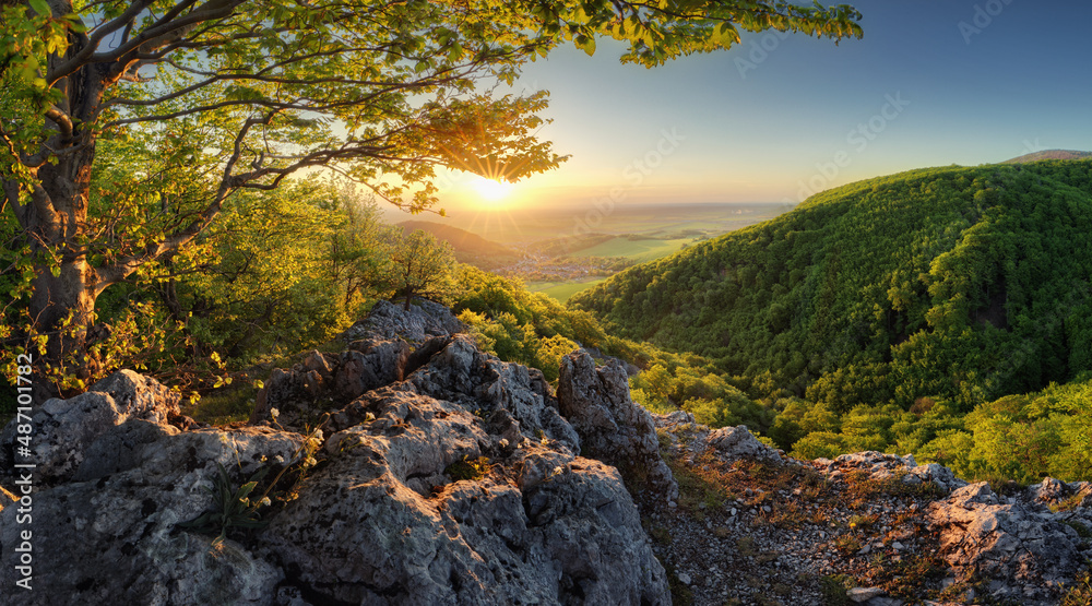 Mountain forest panorama at sunset - Slovakia - obrazy, fototapety, plakaty 