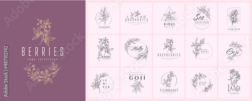 Different berries floral logo set. Hand drawn line wedding herb, elegant leaves for invitation save the date card. Botanical rustic trendy greenery vector set