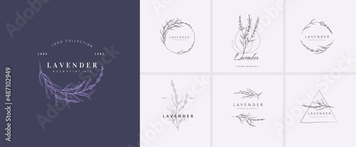 Set of Lavender logo and branch. Hand drawn wedding herb, plant and monogram with elegant leaves for invitation save the date card design. Botanical