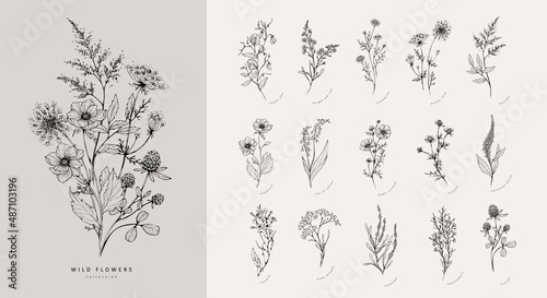 Fotografia, Obraz Trendy floral branch and minimalist flowers for logo or decorations
