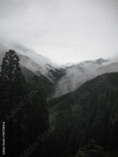 山林と霧 2 © 霧雨