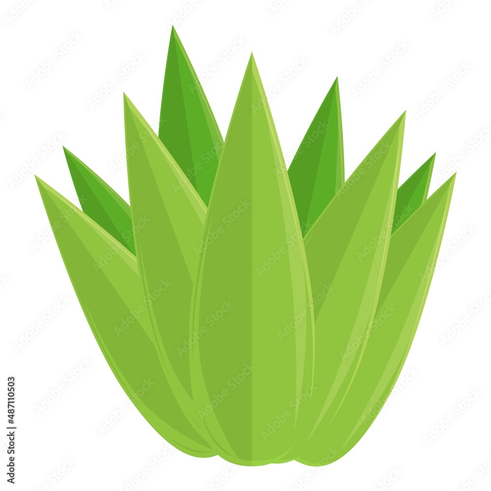 Tequila cactus icon cartoon vector. Glass shot. Mexican lime Tequila cactus icon cartoon vector. Glass shot. Mexican lime