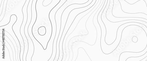 black and white abstract background vector, Abstract topographic contours map background, white wave paper curved reliefs abstract background, 