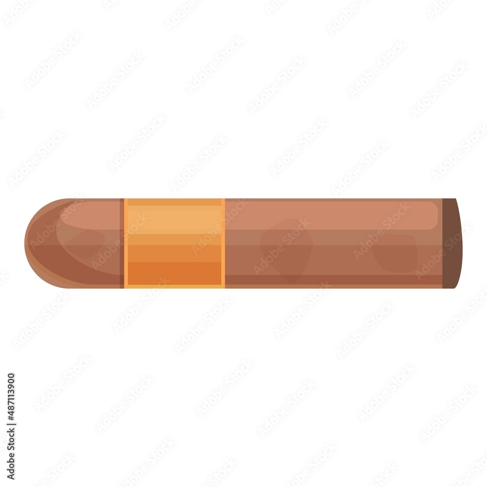 Paper cigar icon cartoon vector. Smoke pack. Box nicotine Paper cigar icon cartoon vector. Smoke pack. Box nicotine