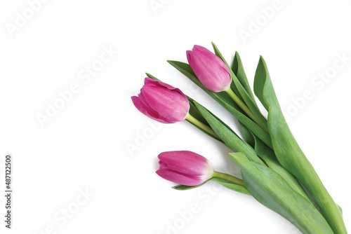 Fototapeta Naklejka Na Ścianę i Meble -  Bouquet of pink tulips on a white background
