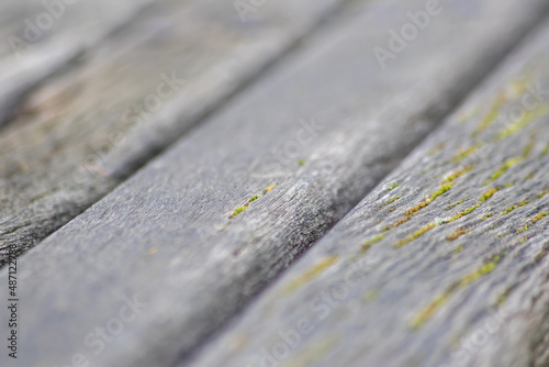 Gray wooden background close-up of old planks and grey timber in vintage style and grunge look as rustic rough and antique organic surface for decoration of backgrounds or as natural frame design