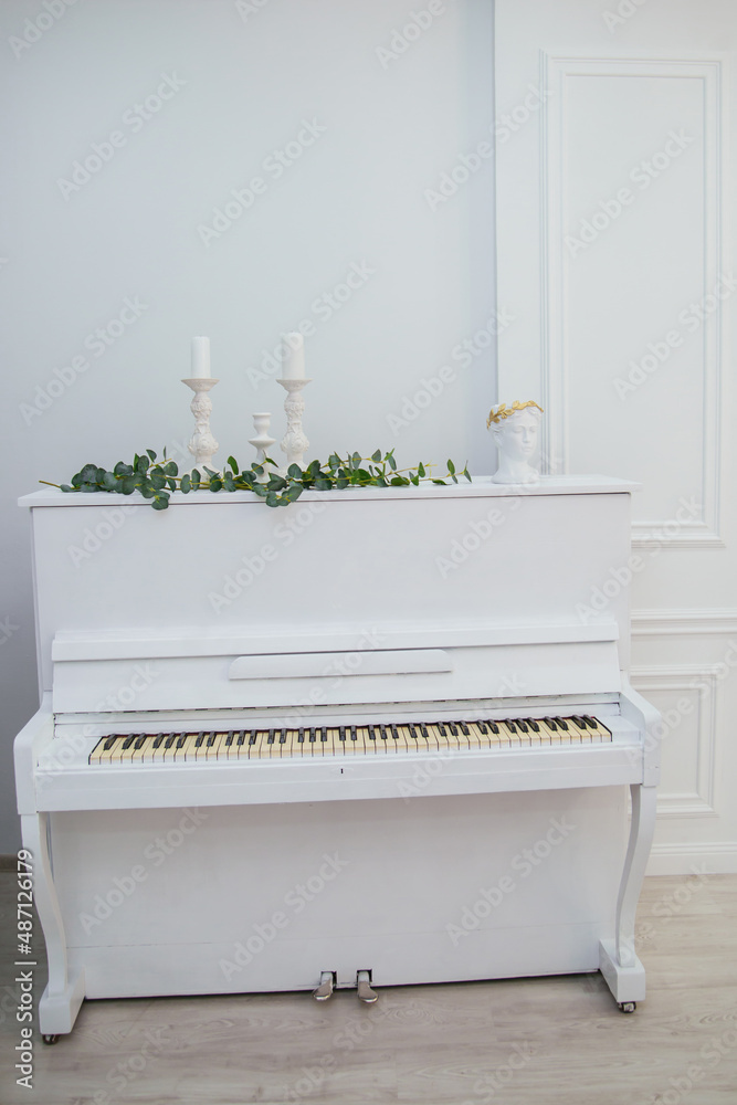 White piano with greenery in a large and bright room. Stock Photo | Adobe  Stock