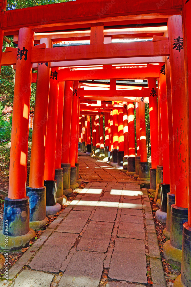 京都 伏見稲荷大社　美しい朱色の鳥居(京都府京都市） Kyoto Fushimi Inari Taisha Shrine famous for beautiful vermilion torii gates (Kyoto City, Kyoto Prefecture, Japan) 