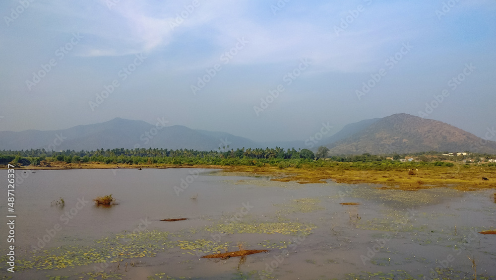 A pond against the background of palm plantations and mountains.