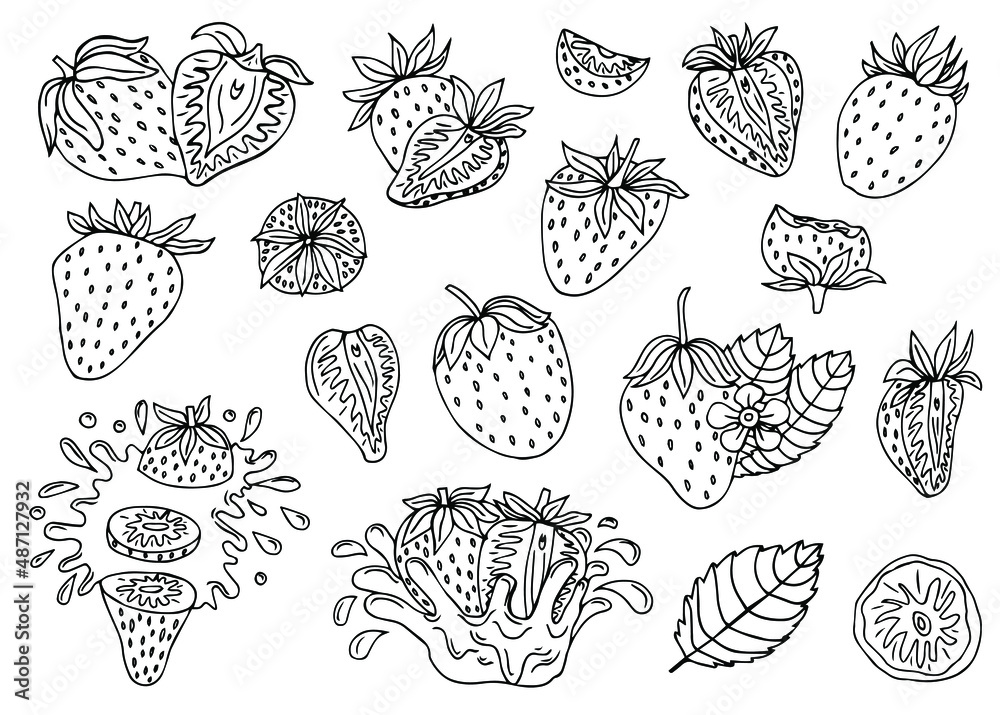 Hand drawn strawberry with leaves and flowers set. Outline black and white vector illustration. Doodle plants and sweet berries isolated on white background Hand drawn strawberry with leaves and flowers set. Outline black and white vector illustration. Doodle plants and sweet berries isolated on white background