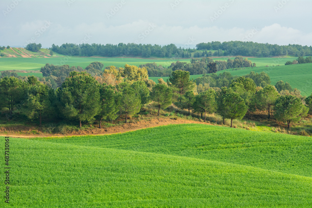 Rolling green hills with trees and grey cloudy sky.