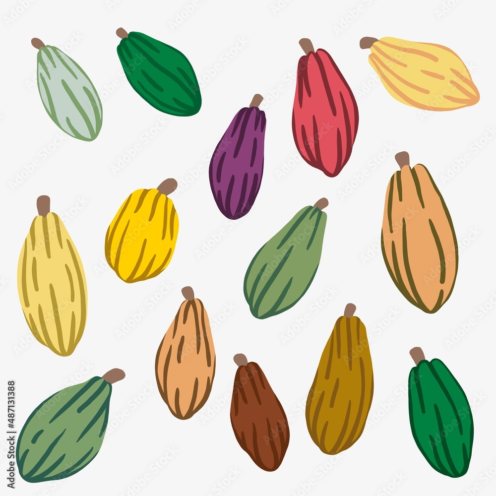 cacao fruit doodle drawing on white background. cacao fruit doodle drawing on white background.