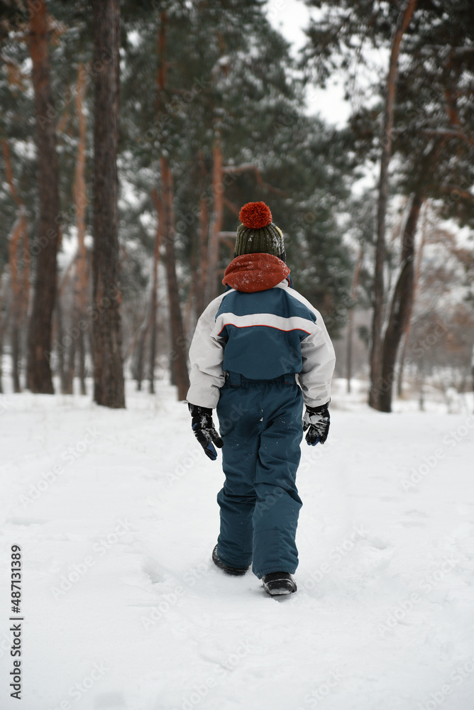 Boy in winter jumpsuit walks in woods in snow. Back view. Winter holidays in spruce forest.