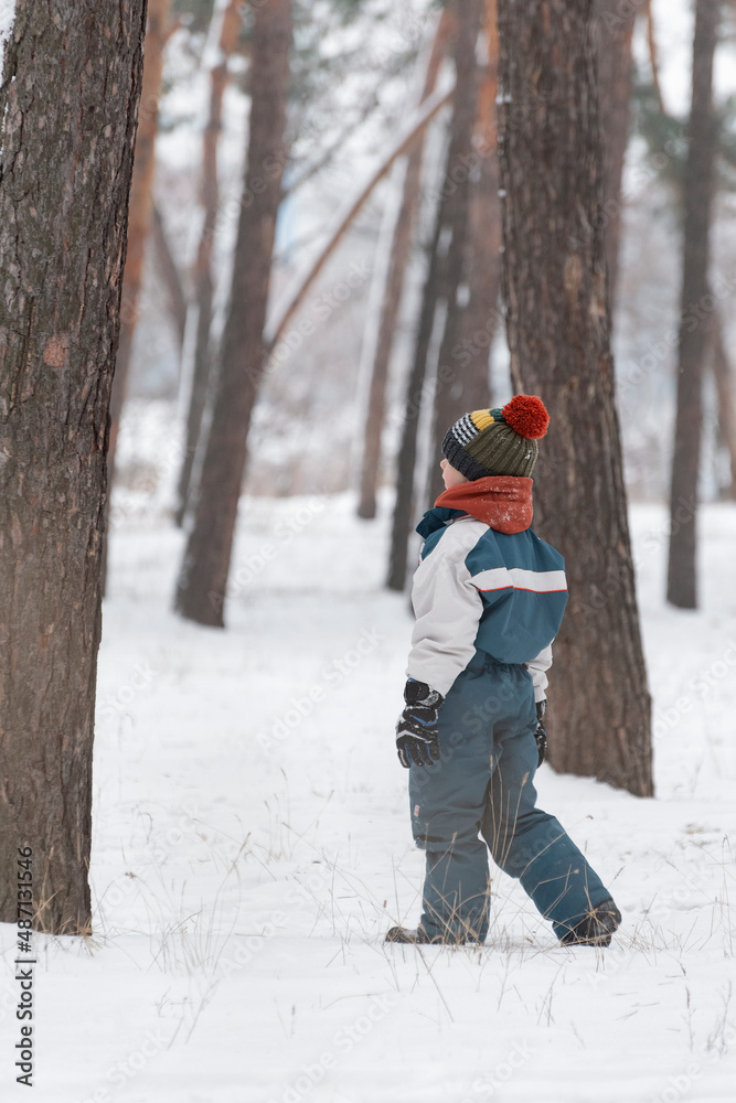Child in knitted hat and winter jumpsuit stands on winter forest background. Boy walks along snowy paths