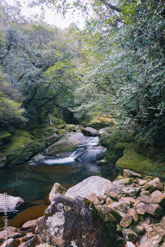 Landscape of Yakushima  Japanese natural heritage site