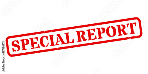 ‘Special Report’ Red Rubber Stamp