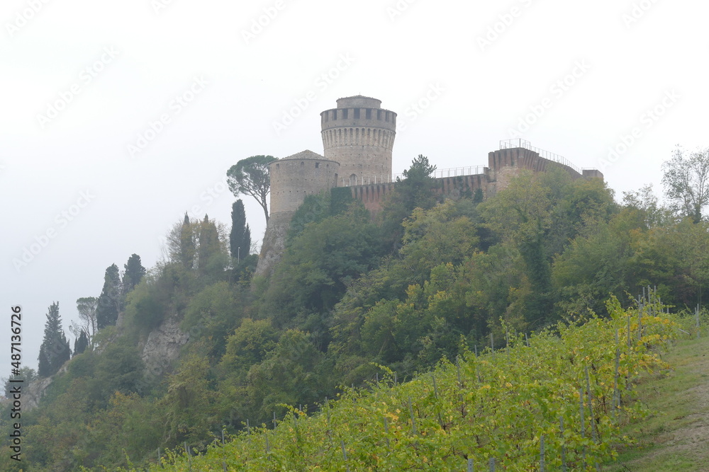 panorama of the fortress of Brisighella surrounded by the green countryside on a hill that dominates the village