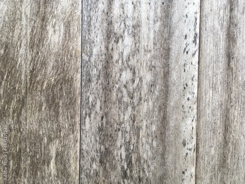 Fototapeta premium old wood texture