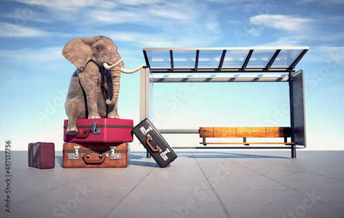 Elephant sits on lugagges at bus station. photo