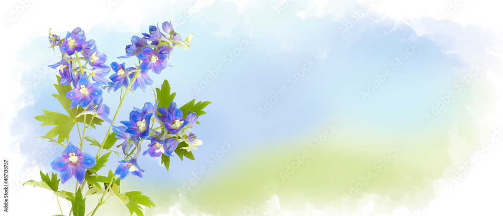 Blue field flowers of delphinium isolated on pastel watercolor background, wildflowers. Horizontal banner with copy space. Place for a text. Spring card Blue field flowers of delphinium isolated on pastel watercolor background, wildflowers. Horizontal banner with copy space. Place for a text. Spring card