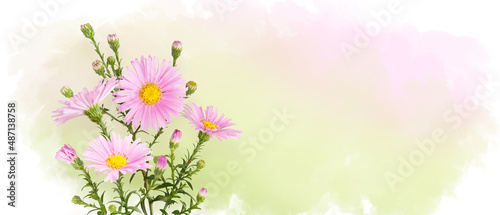 Bouquet of pink daisy-gerbera on pastel watercolor background. Pink flowers bouquet chrysanthemums. Horizontal banner with copy space. Place for a text