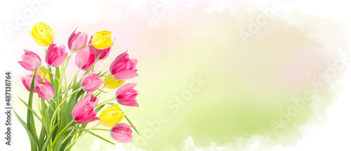 Bouquet of pink and yellow tulips flowers on pastel watercolor background. Horizontal banner with copy space. Place for a text. Spring card. Gift for 8 March international woman's day. Spring concept