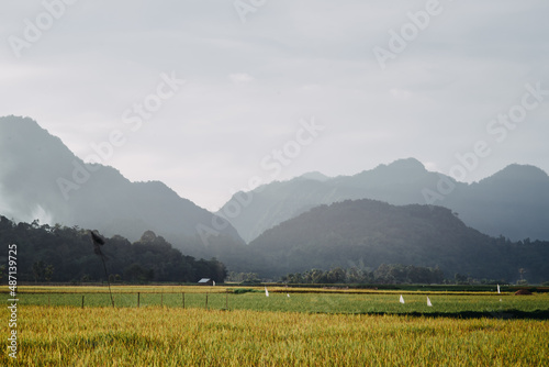 scenic view of field against sky © MHDARIF