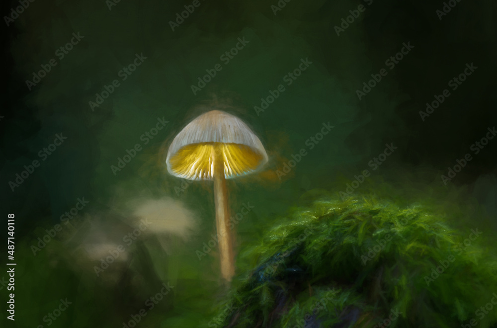Fototapeta premium Digital painting of fantasy glowing mushrooms in an enchanted forest.