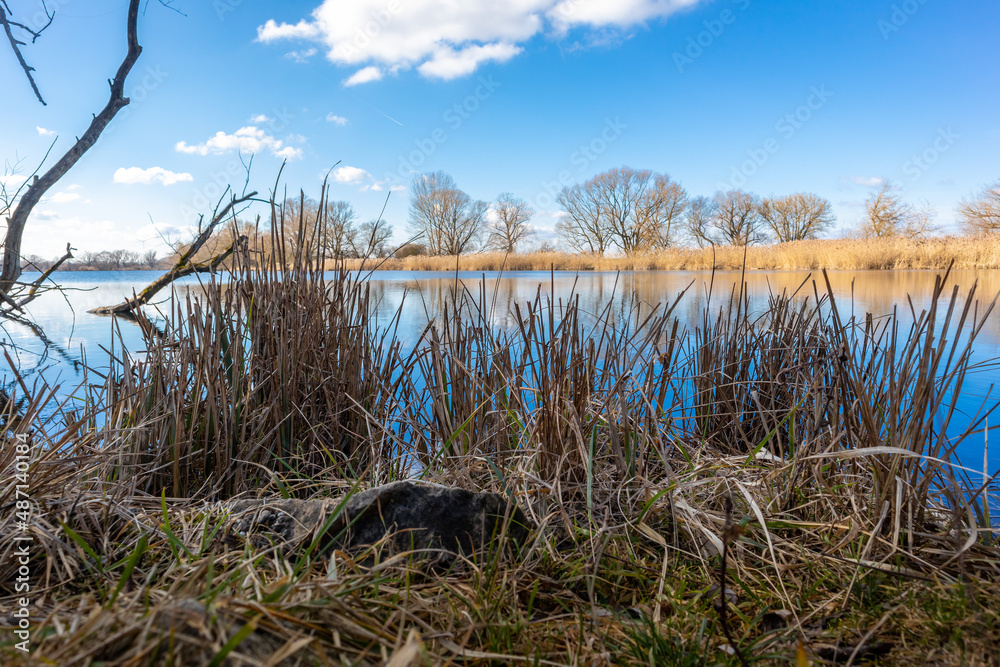 Fototapeta premium Donau bei Straubing im Februar