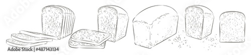 Set of sliced bread. The cut loaf of toast bread for sandwich. Logo, icon. Vector sketch realistic line vintage illustration