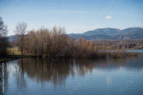 View of trees in border the lake of Michelbach in alsace - France