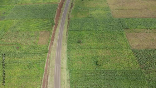 Aerial top down on asphalt road passing green fields of maize plantations, Kenya photo